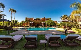 L'Oliveraie De L'Atlas